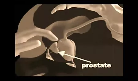 Homo Amatööri ilmaiset seksivideot Mälli suussa aika ajoin Suihinotto