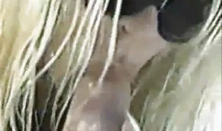 Anna se hierojalle ja laita ase hänen seksivideot ilmaiset suuhunsa.