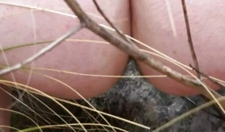 Arvostelut suukkoja rakkaus pilluvideo punaiset hiukset ja cunnilingusnya
